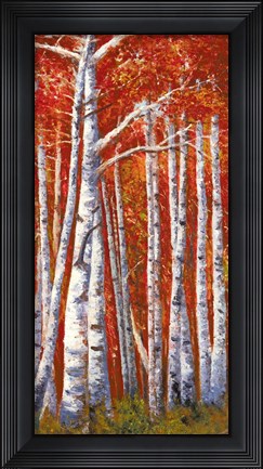 Framed Betulle III Print