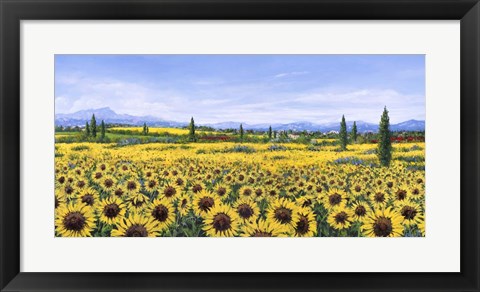 Framed Girasoli Print