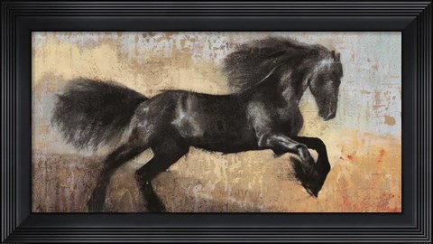 Framed Black Stallion Print