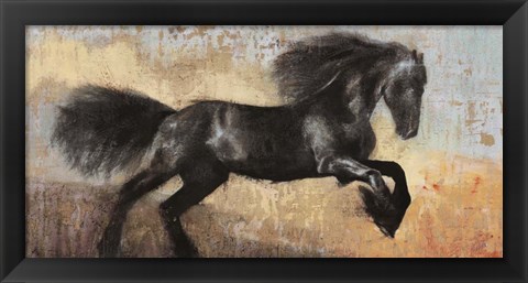 Framed Black Stallion Print