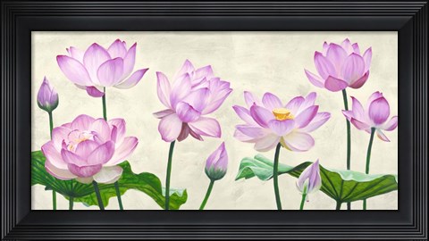Framed Lotus Flowers Print