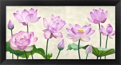 Framed Lotus Flowers Print