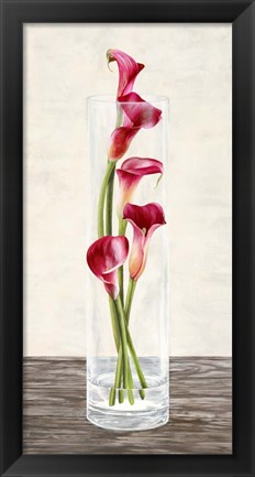 Framed Arrangement of Callas Print