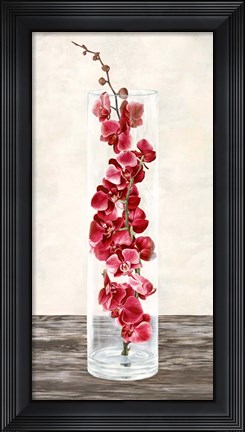 Framed Arrangement of Orchids Print