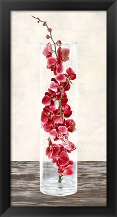 Framed Arrangement of Orchids Print