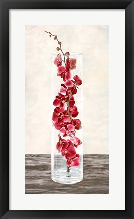 Framed Arrangement of Orchids Print