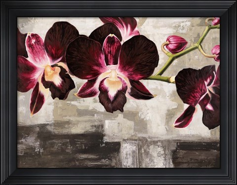 Framed Velvet Orchids Print