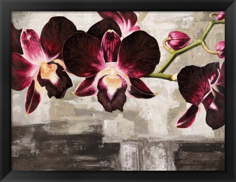 Framed Velvet Orchids Print