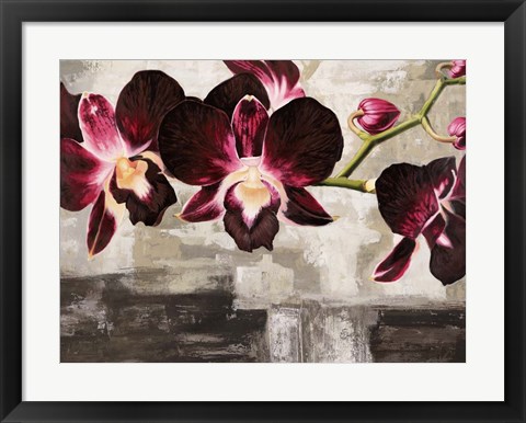 Framed Velvet Orchids Print