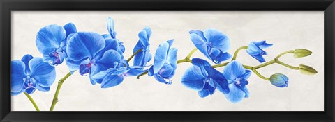 Framed Blue Orchid Print