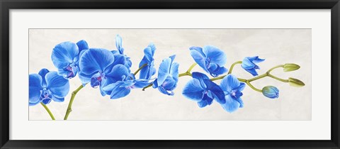 Framed Blue Orchid Print