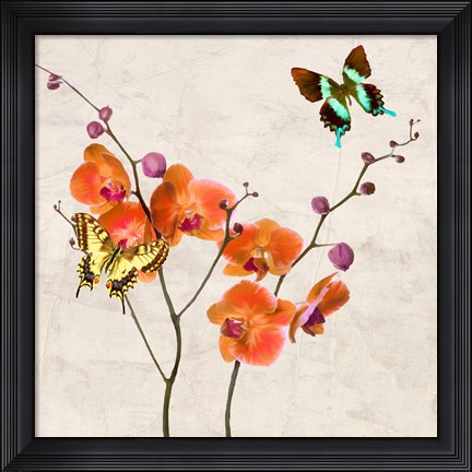 Framed Orchids &amp; Butterflies I Print