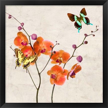 Framed Orchids &amp; Butterflies I Print