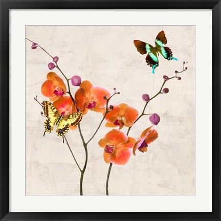 Framed Orchids &amp; Butterflies I Print