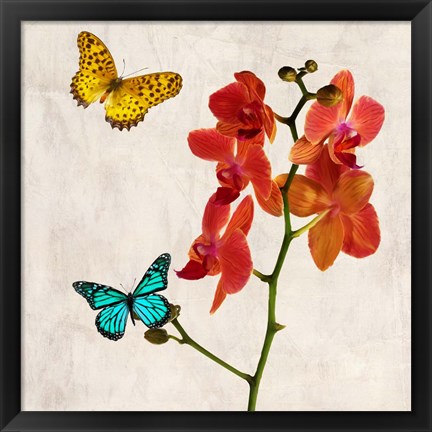 Framed Orchids &amp; Butterflies II Print