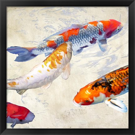 Framed Koi II Print