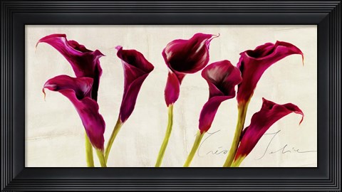 Framed Tres Jolie Print
