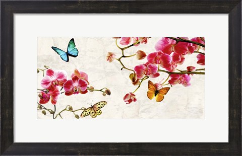 Framed Orchids &amp; Butterflies Print