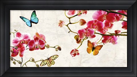 Framed Orchids &amp; Butterflies Print