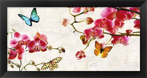 Framed Orchids &amp; Butterflies Print