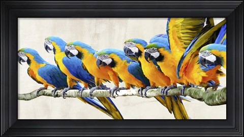 Framed Ara Parade Print