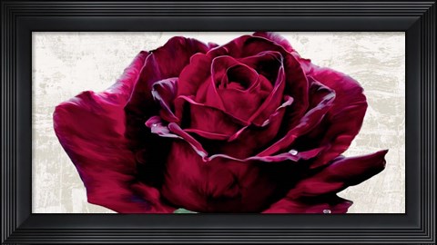 Framed Purple Dame Print