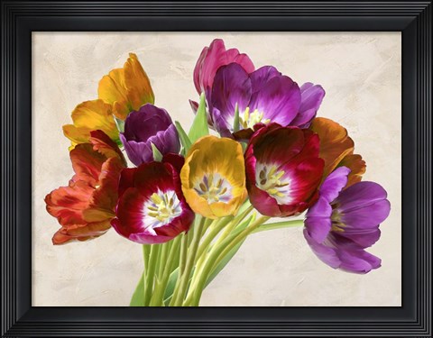 Framed Tulipani Danzanti Print