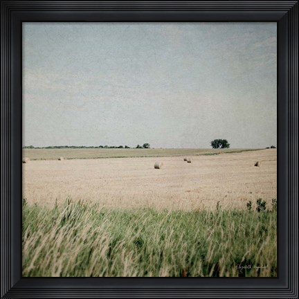 Framed Neutral Country II Print