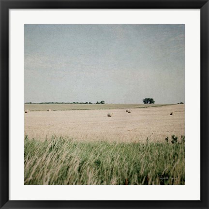 Framed Neutral Country II Print