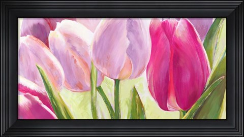 Framed Tulipes I Print