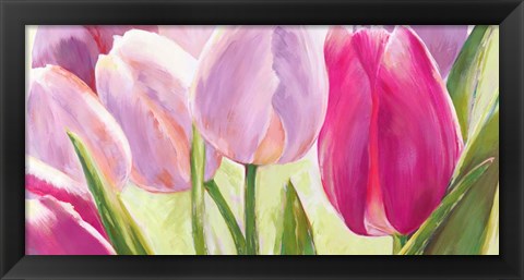 Framed Tulipes I Print