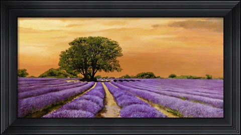 Framed Campo al Tramonto Print