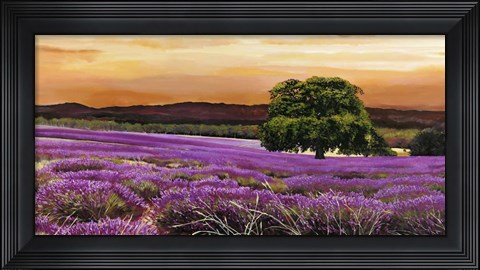 Framed Campo di Lavanda Print