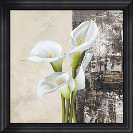 Framed Nature II Print