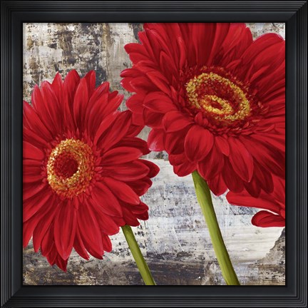 Framed Red Gerberas I Print