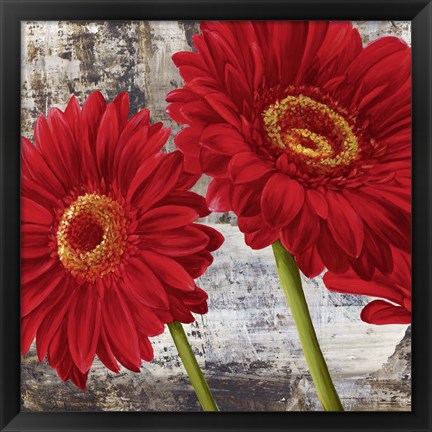 Framed Red Gerberas I Print