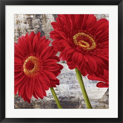 Framed Red Gerberas I Print