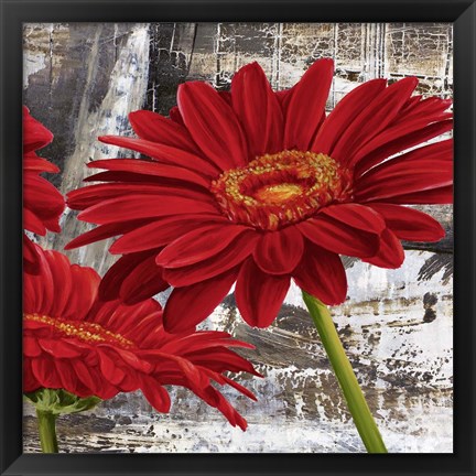 Framed Red Gerberas II Print