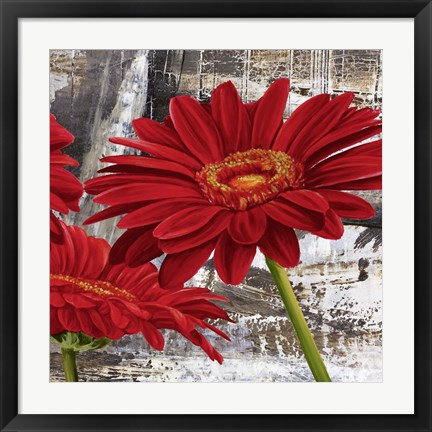 Framed Red Gerberas II Print