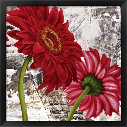 Framed Red Gerberas III Print