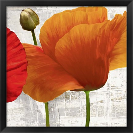 Framed Summer Poppies II Print