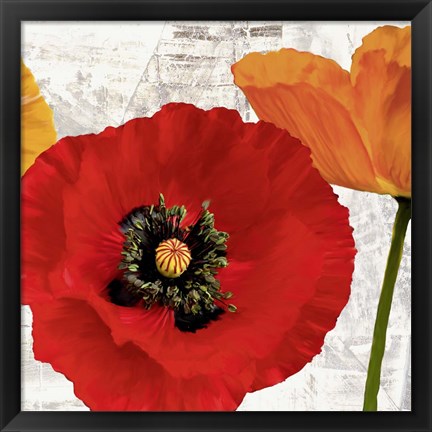 Framed Summer Poppies III Print