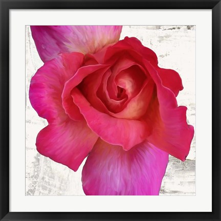 Framed Spring Roses I Print