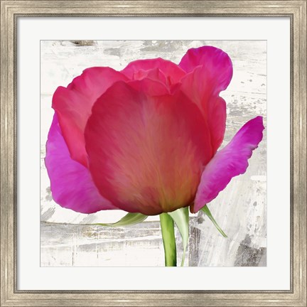 Framed Spring Roses II Print