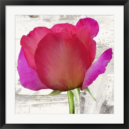 Framed Spring Roses II Print