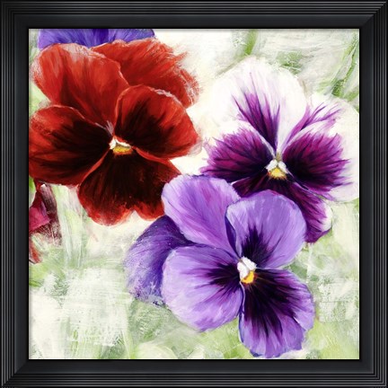 Framed Pansies I Print