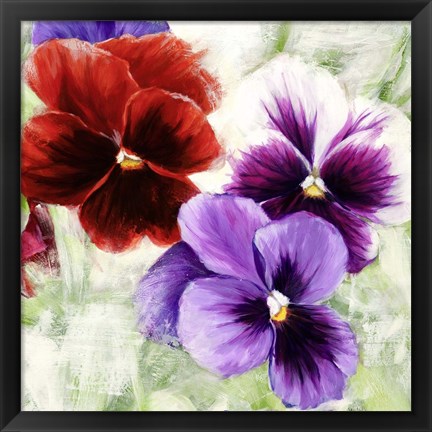 Framed Pansies I Print