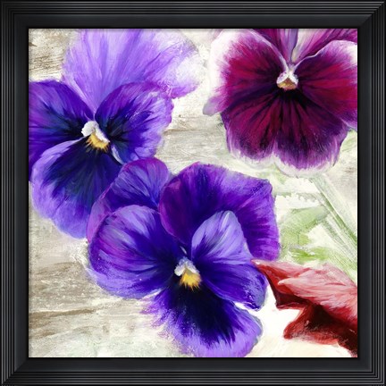 Framed Pansies II Print