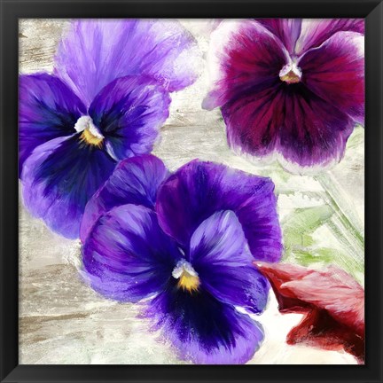 Framed Pansies II Print