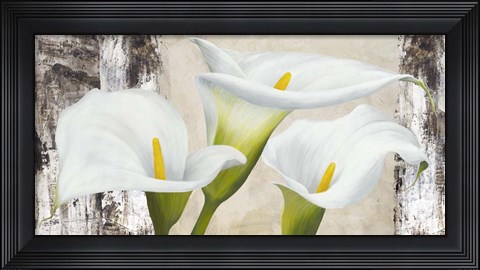 Framed True Nature Print